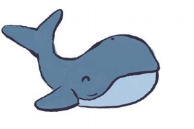 Baleine
