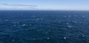 Journée mondiale de la mer