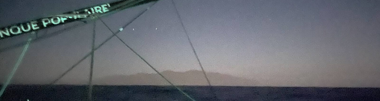 50663668163_ac69087ab3_k
