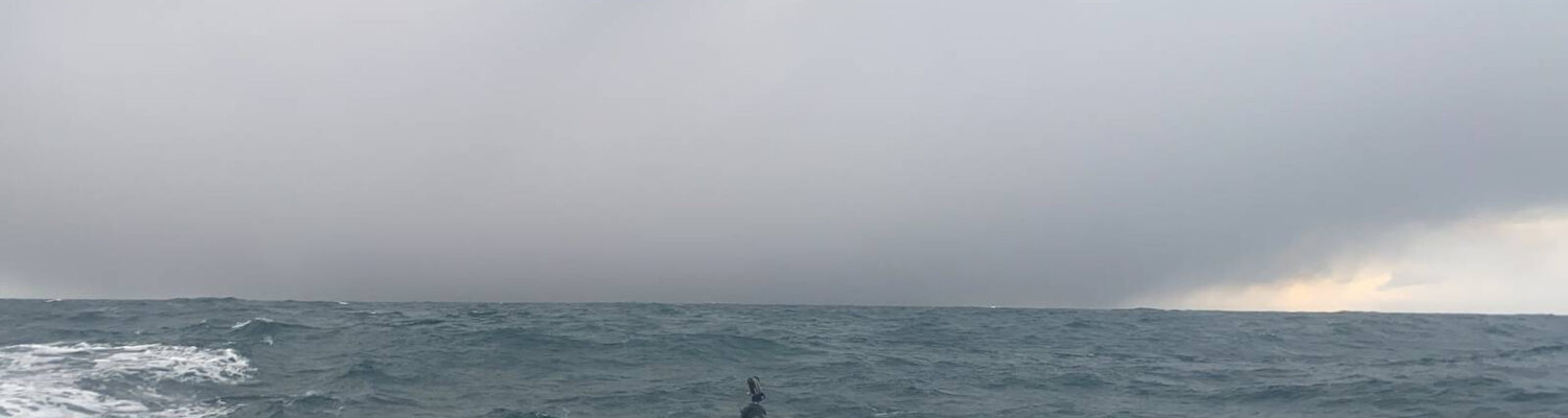 51041771783_aab1fa12ee_k