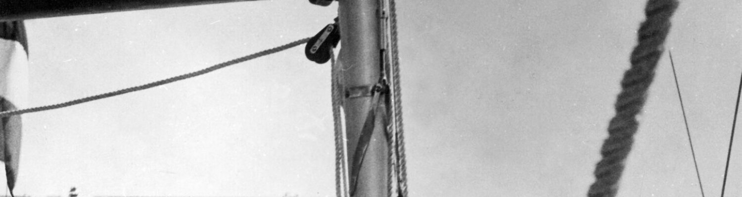 26693726480_298934ab72_k