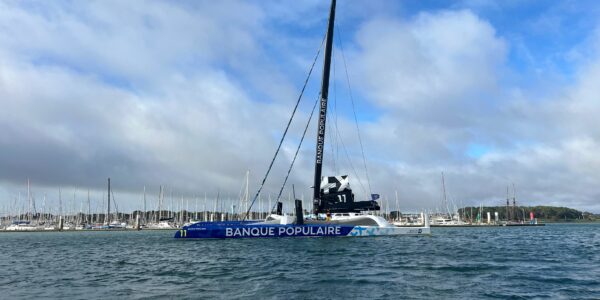 54883546915_875de5ed2e_k