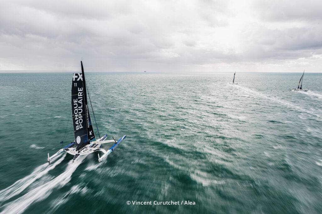 54887376507_70b084cea7_o