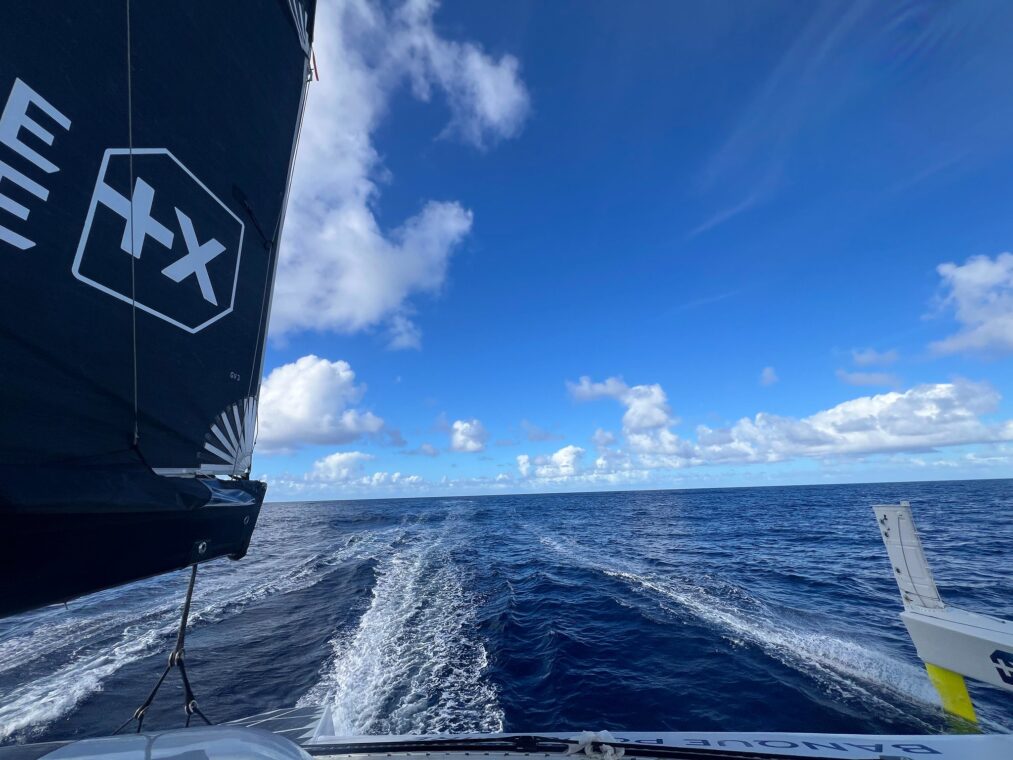 54891215385_a40774e276_k