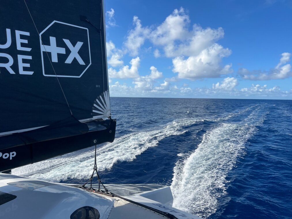 54890043867_c2b885e455_k