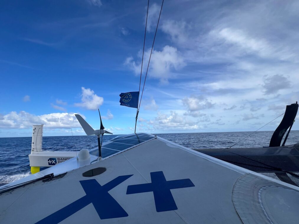 54890043862_18128746aa_k