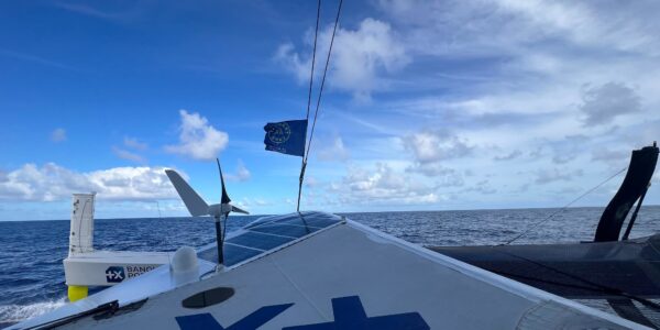 54890043862_18128746aa_k