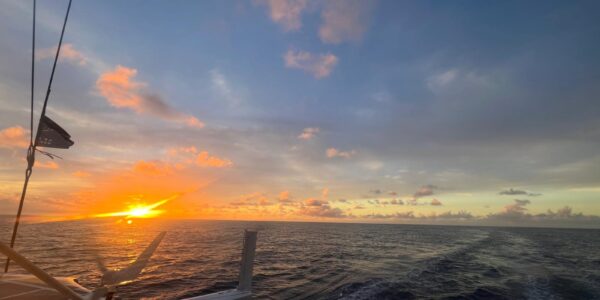 54891164724_b08c3db3a9_o