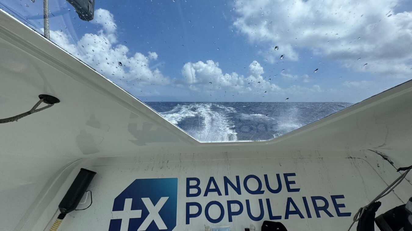 54905960414_5e24323cf3_o