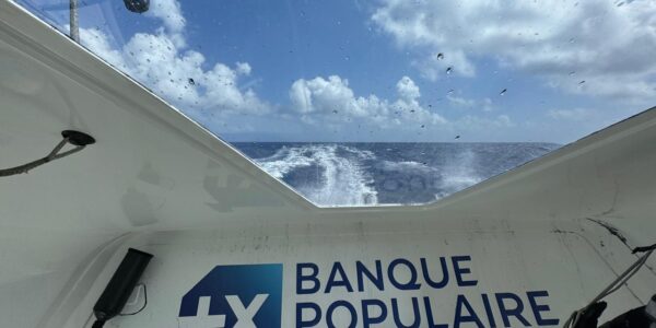 54905960414_5e24323cf3_o