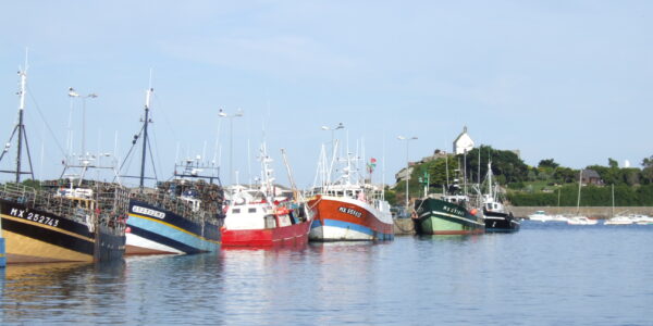 Roscoff%20Caseyeurs_copyright%20Roscoff%20tourisme.jpg